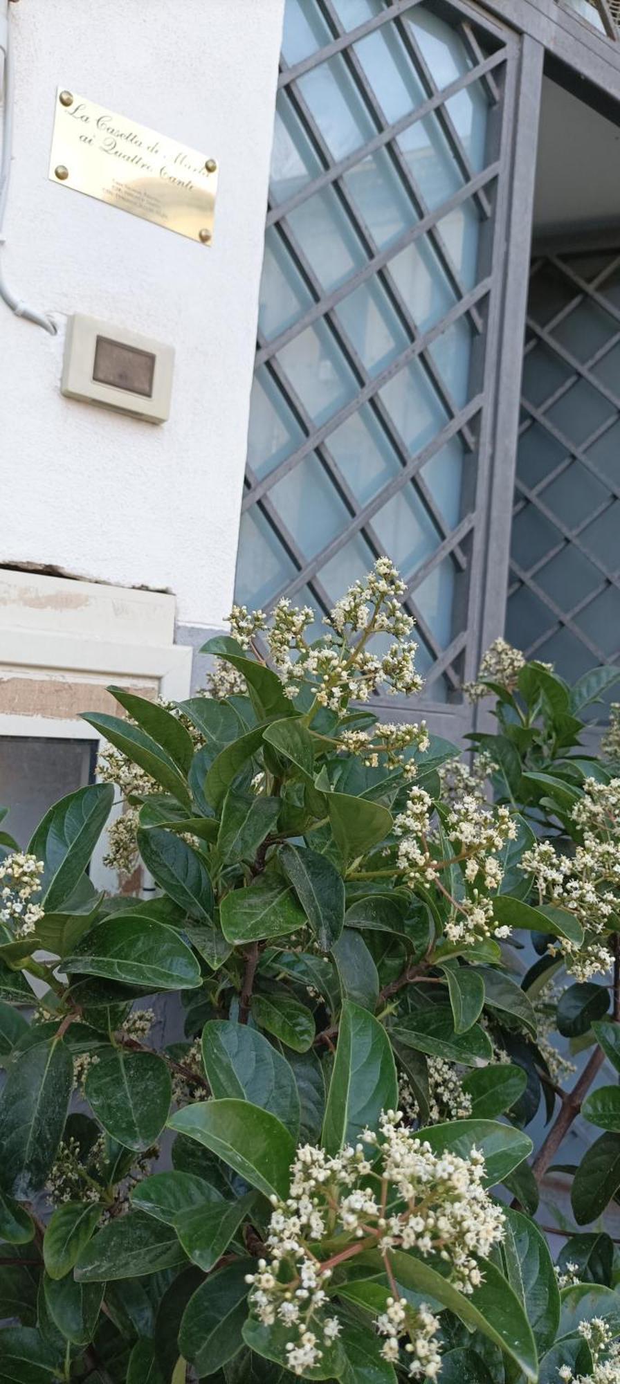 LA CASETTA DI MARTA ai Quattro Canti di Giusi Palermo Esterno foto